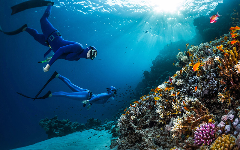 Discover Scuba Diving in Hurghada